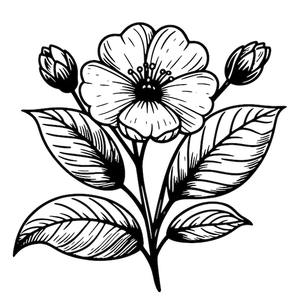 Vector diseño de logotipo de flor en blanco y negro