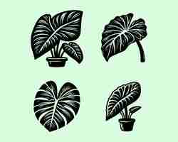 Vector diseño de logotipo gráfico del icono vectorial de la silueta de la planta colocasia