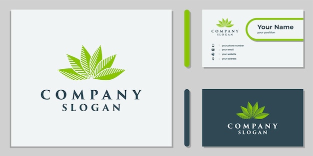 Diseño de logotipo de hoja de cannabis para corporativos y médicos.