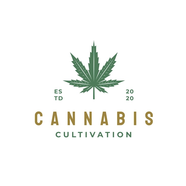 Diseño de logotipo de hoja de cannabis retro