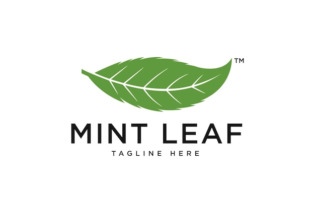 Diseño de logotipo de hoja de menta. plantilla de concepto de logotipo orgánico