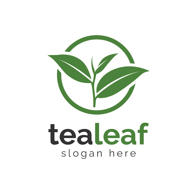 Vector diseño del logotipo de la hoja de té y diseño del logotipo vectorial del árbol de té