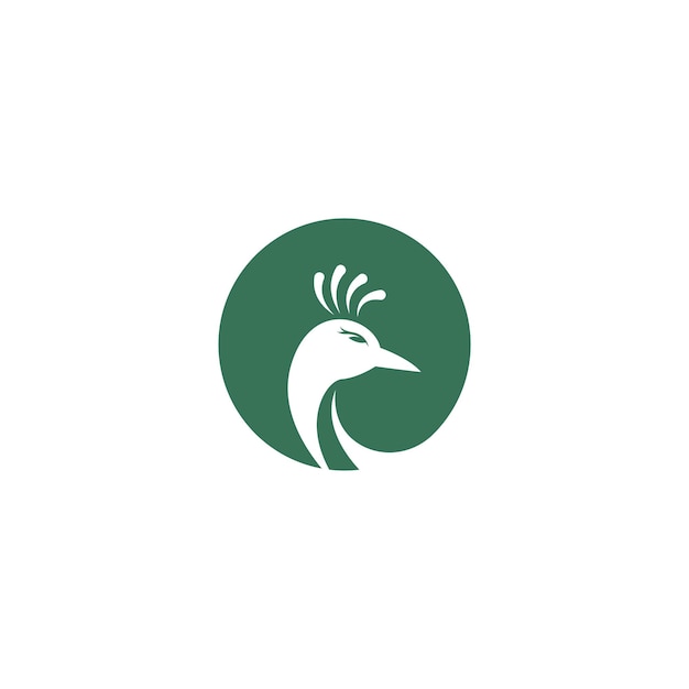 Diseño de logotipo de icono de pavo real