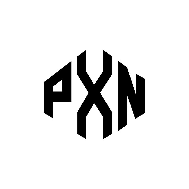 Vector diseño del logotipo de la letra pxn con forma de polígono pxn poligono y forma de cubo diseño del logotipo pxn hexágono modelo de logotipo vectorial colores blanco y negro pxn monograma logotipo de negocios e inmobiliario
