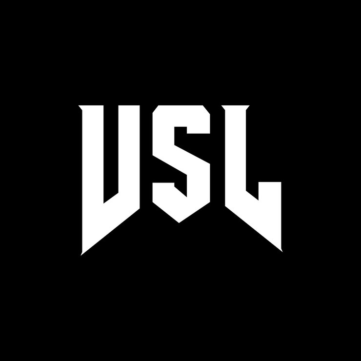 Vector diseño de logotipo de letras vsl para una empresa de tecnología diseño de logotipo vsl combinación de colores blanco y negro vsl logotipo vsl vector vsl diseño vsl icono vsl alfabeto vsl tipografía diseño de logotipo