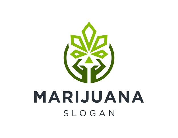 Vector diseño del logotipo de la marihuana creado utilizando la aplicación corel draw 2018 con un fondo blanco