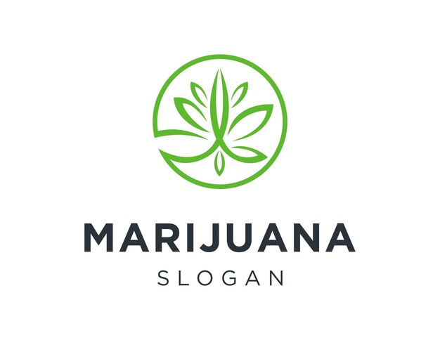 Vector diseño del logotipo de la marihuana creado utilizando la aplicación corel draw 2018 con un fondo blanco