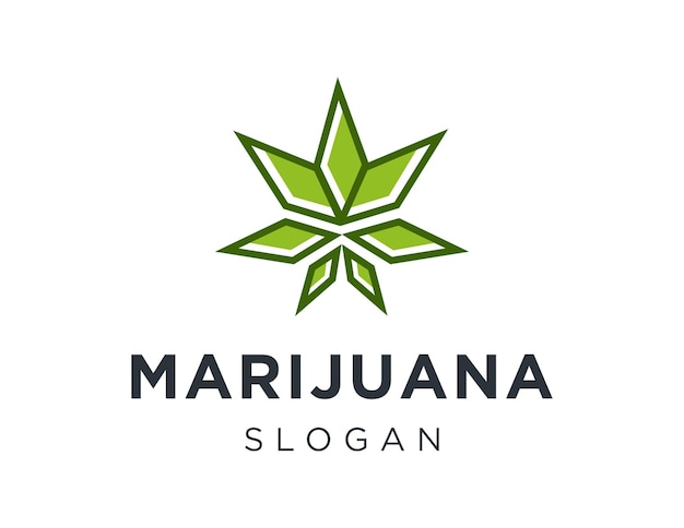 Diseño del logotipo de la marihuana creado utilizando la aplicación Corel Draw 2018 con un fondo blanco