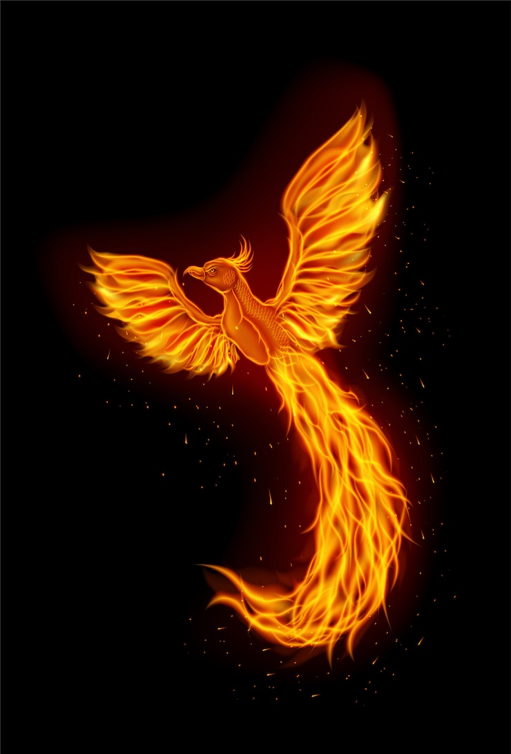 Vector diseño de logotipo de la mascota del fénix de fuego