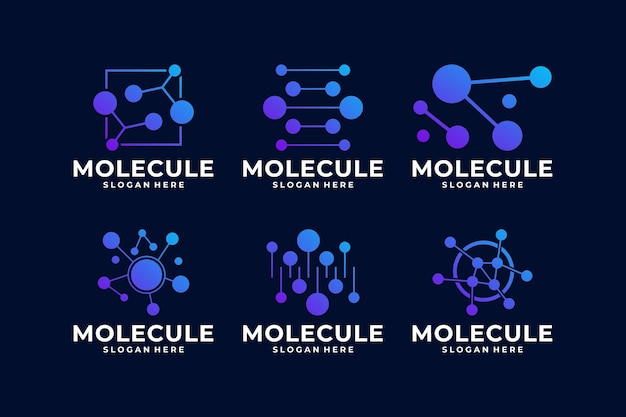 Diseño del logotipo de la molécula conexión de puntos logotipo moderno
