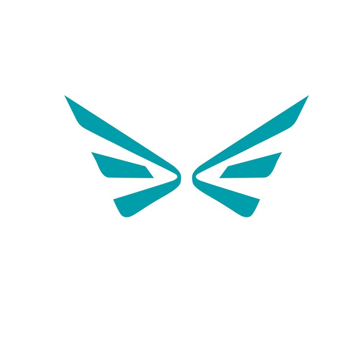Diseño del logotipo de la mosca