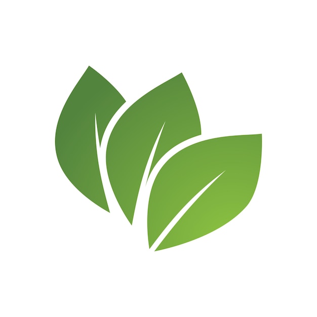 Diseño de logotipo de naturaleza de ilustración de hoja verde