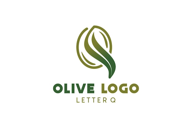 Vector diseño de logotipo de oliva con ilustración de vector de oliva verde natural de concepto de letra q