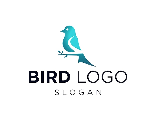 Diseño de logotipo de pájaro