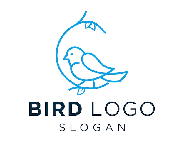 Diseño de logotipo de pájaro