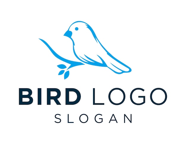Diseño de logotipo de pájaro