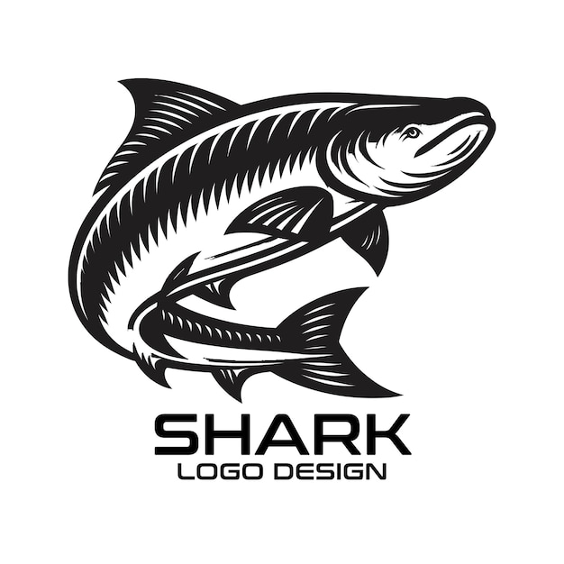 Diseño del logotipo de Shark Vector
