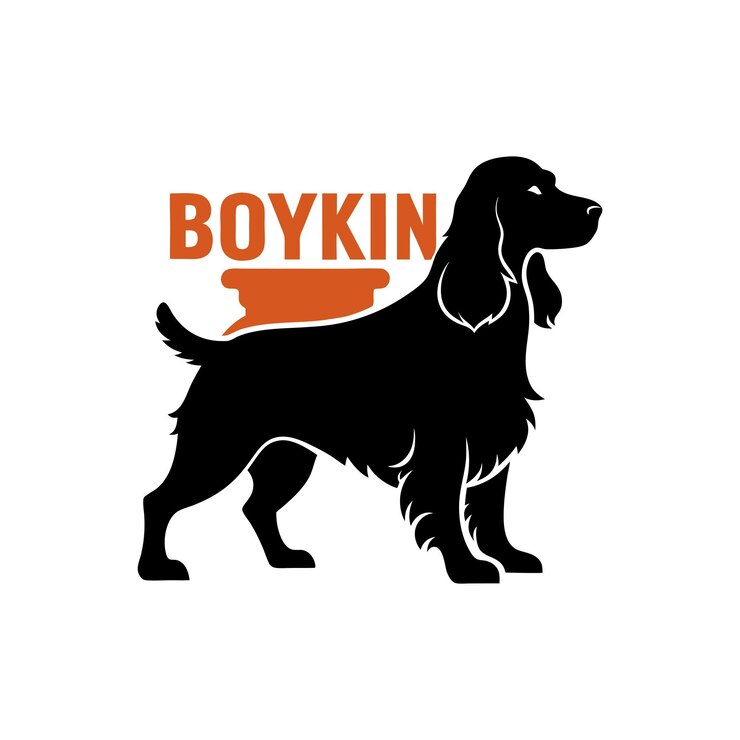 Vector diseño del logotipo de la silueta vectorial del perro boykin spaniel