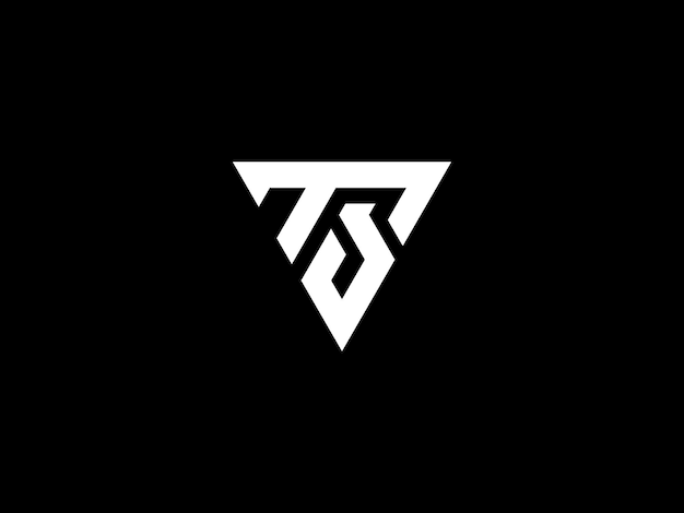 diseño de logotipo TS