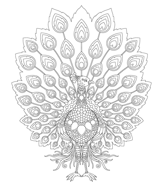 Vector diseño de mandala de pavo real para imprimir página para colorear