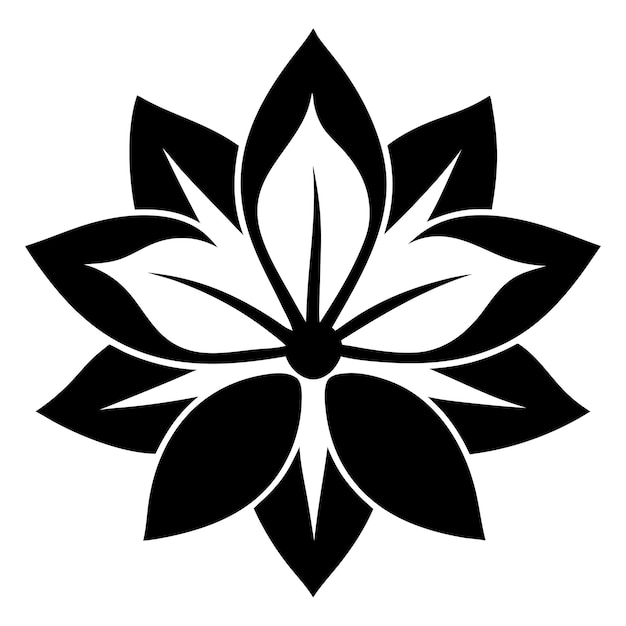 El diseño de Mandala01