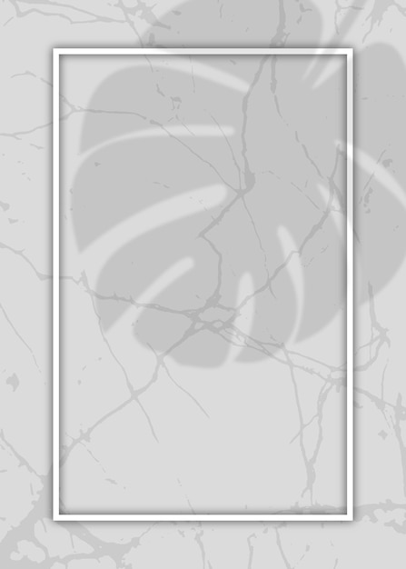 Diseño de marco y sombra de hoja de monstera, superposición de sombra de hoja de monstera, fondo de mármol