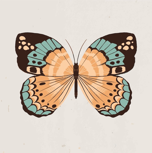 Diseño de mariposa dibujada a mano naranja