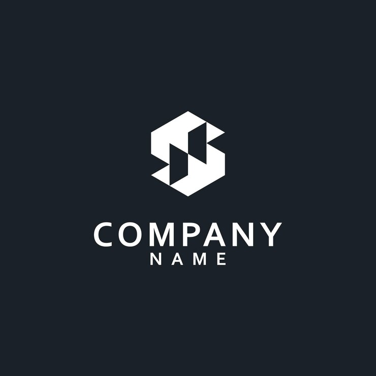 Diseño moderno del logotipo del hexágono de la letra SN