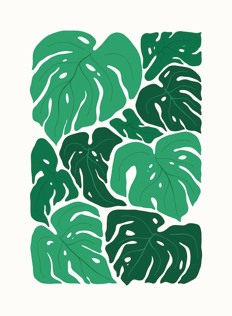 diseño de monstera