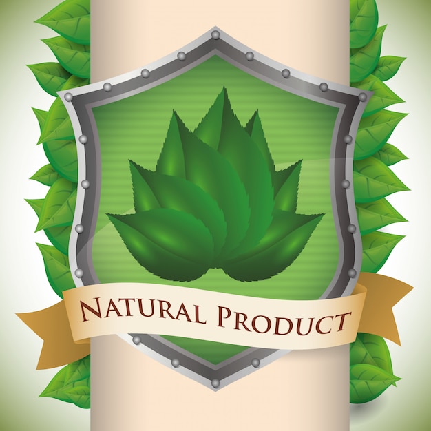 Diseño natural del producto