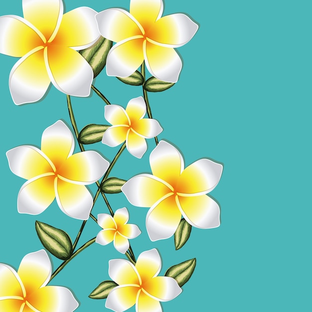 Diseño de orquidea