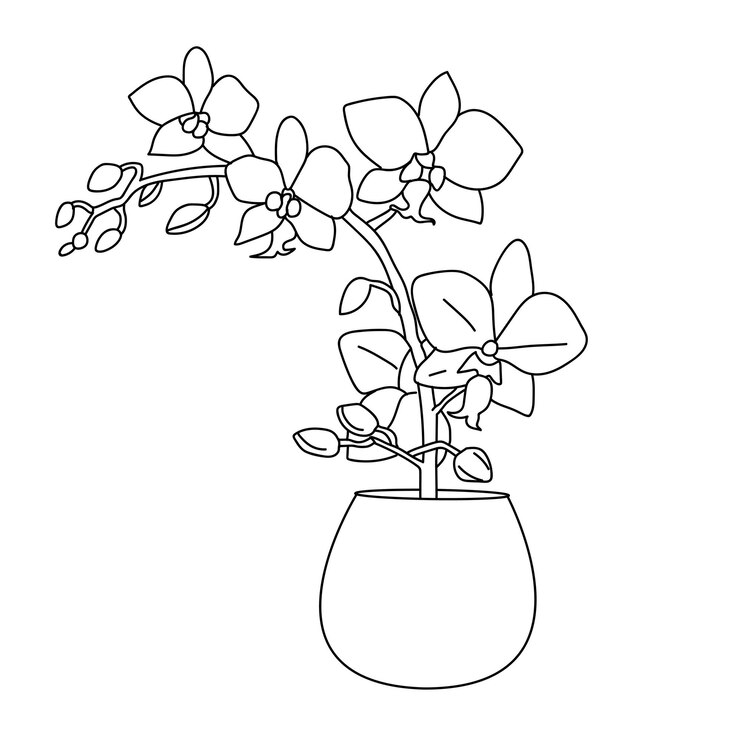 Vector diseño de página para colorear de ilustración de arte de línea de flores