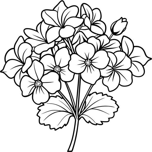 El diseño de la página del libro de colorear el bocado de flores de geranio el bocado negro de la flor de geranio