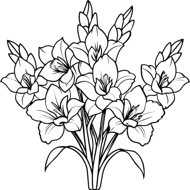 El diseño de la página del libro de colorear con el boceto de flores de Gladiolus