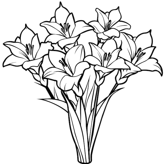 El diseño de la página del libro de colorear con el boceto de flores de Gladiolus
