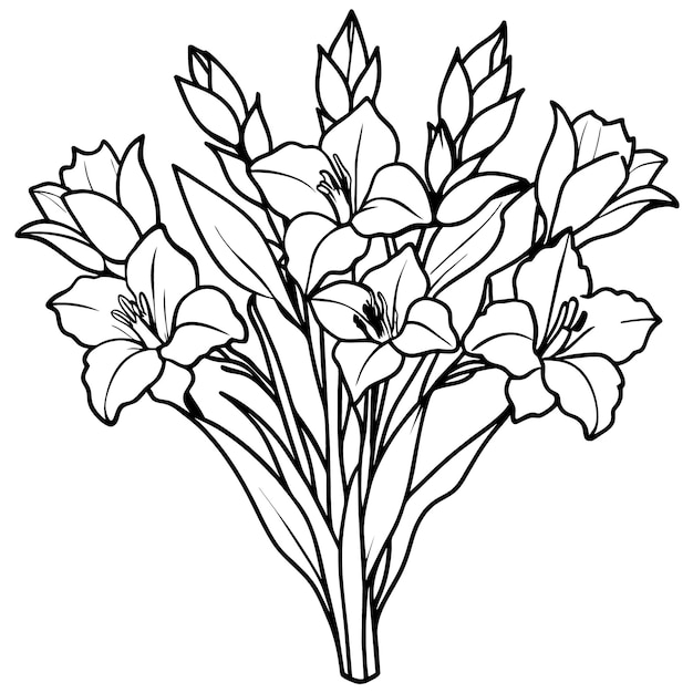 El diseño de la página del libro de colorear con el boceto de flores de Gladiolus