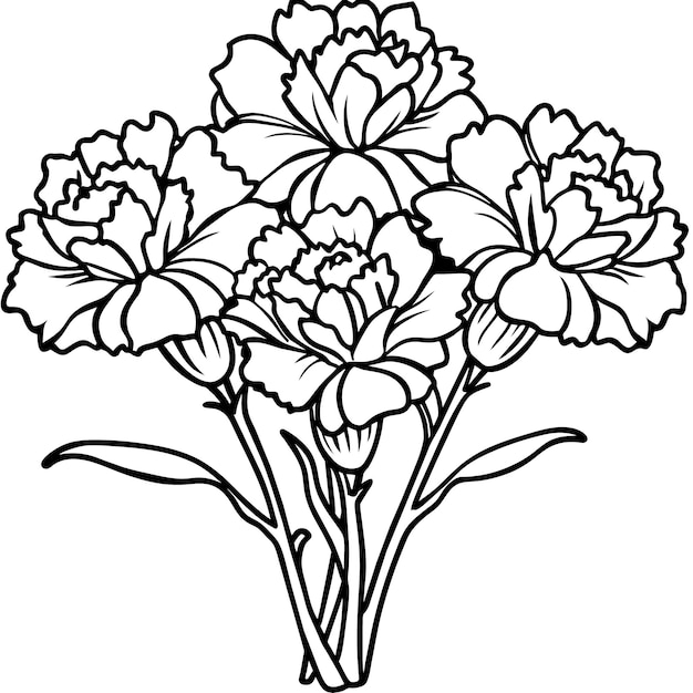 Diseño de páginas de libros de colorear con dibujos de bocetos de flores de clavel