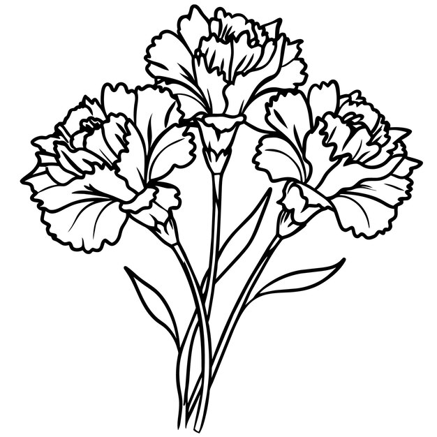 Diseño de páginas de libros de colorear con dibujos de bocetos de flores de clavel