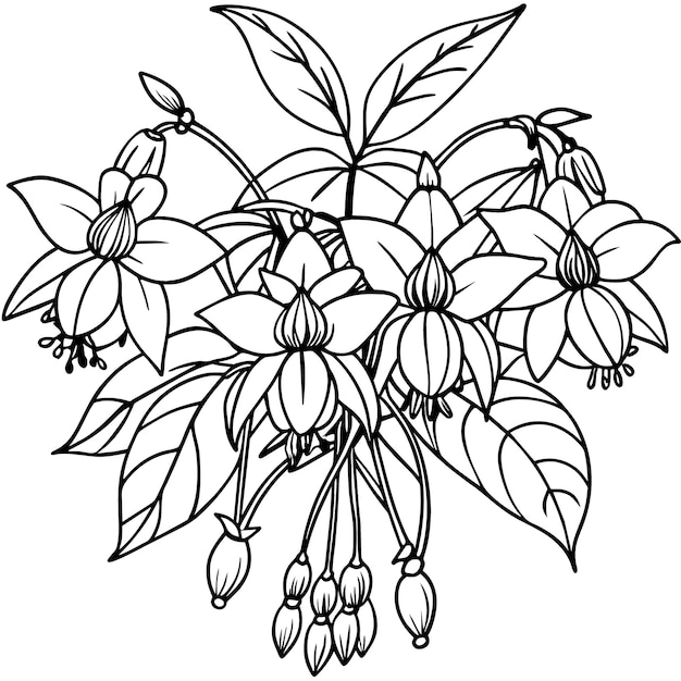 Diseño de páginas de libros de colorear con dibujos de bocetos de flores de fucsia