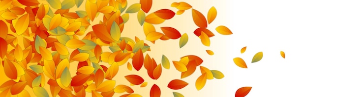 Vector diseño de pancartas abstractas de otoño con hojas coloridas