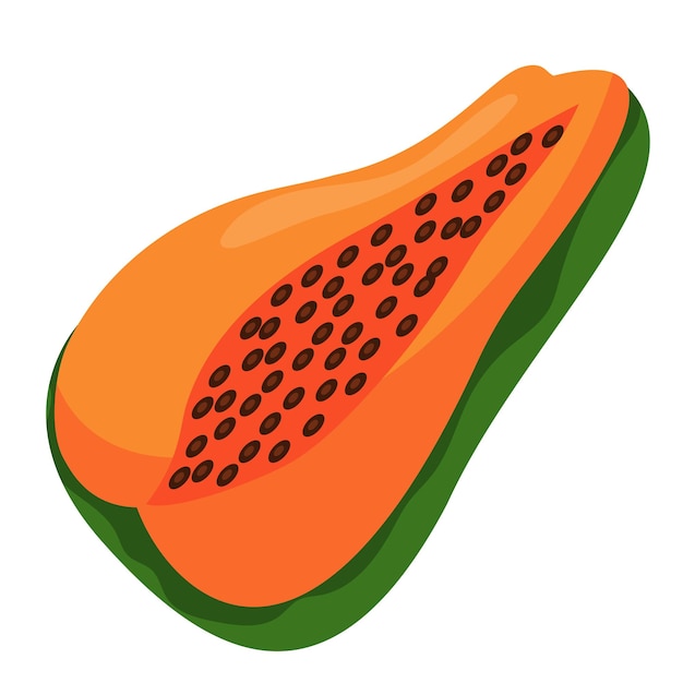 Vector diseño de papaya saludable sobre blanco