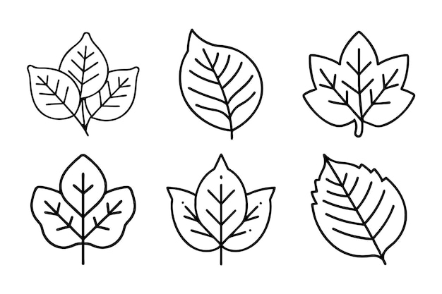 Diseño del paquete de la silueta del icono de la hoja