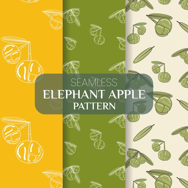 Diseño de patrón de fruta de manzana de elefante Chalta del sudeste asiático o paquete de patrón combinado de Dillenia indica