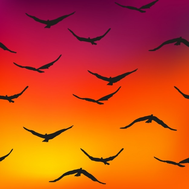 Diseño de patrón de pájaros