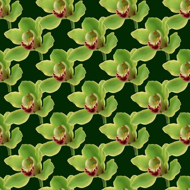 Diseño de patrones sin fisuras de flor de orquídea con fondo verde oscuro