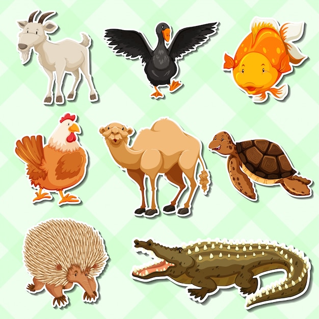 Vector diseño de pegatina con muchos animales