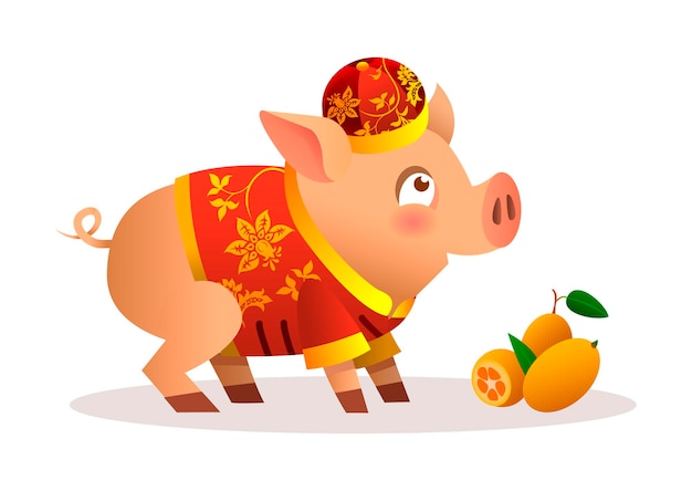 Diseño de personajes de dibujos animados de cerdito chino con traje rojo chino tradicional y sombrero rojo. mandarinas naranjas maduras. ilustración de vector aislado sobre fondo blanco. zodíaco del cerdo.