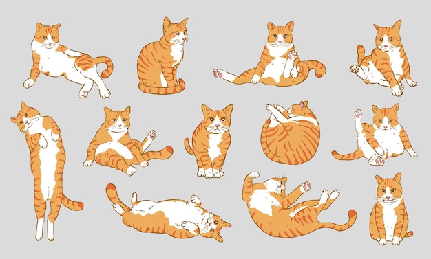 Vector diseño de personajes de setcat de gato naranja de dibujos animados lindo con colores planos en varias poses