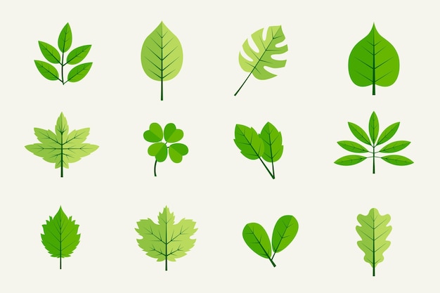 Diseño plano de colección de hojas.