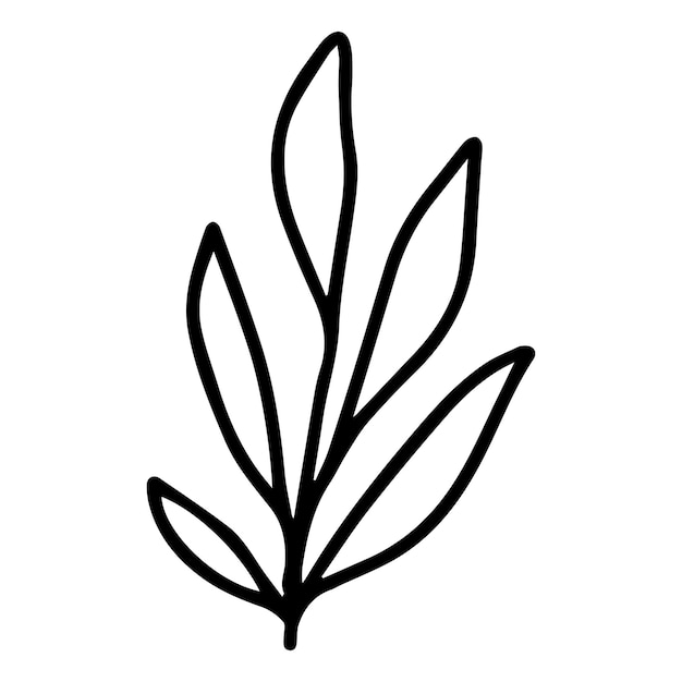 Diseño plano contorno de flor simple aislado en el blanco